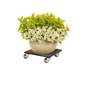Foreman Plant Caddy Square 12 Inch Heavy Duty 300 Lbs Capacity Flower Pot