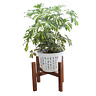 Ga010502nsmall Doiown Wood Potted Plant Stands Corner Flower Stand 689988420255