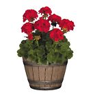 Garden-decor-flower-pot-3932 Garden Decor Flower Pot 653836373932