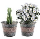 Garden-decor-flower-pot Set-3925 Garden Decor Flower 653836373925