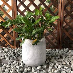 Guagndong Creative Stone Garden Decoration Co. Ltd 810128593007 Tall Concrete Round Plant Pots / Large Indoor And Outdoor Flower Planters