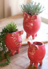 H8391 Kalalou Set Of Tall Clay Pig Planters Or Flower Pots