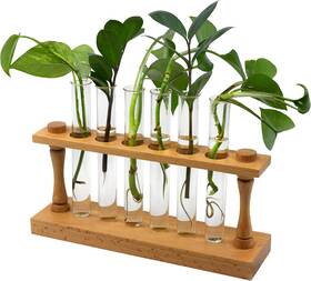 Hbarpps01 Hbarsci Premium Plant Propagation Station - Decorative Hardwood Stand With 6 Glass Tubes