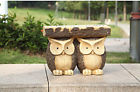 Hiln1787 Hi-line Gift Two Owls 600154363732