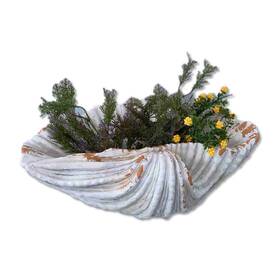 Homeroots 808233946160 6 Inch Distressed Cream And Terra Cotta Scallop Shell Planter