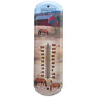 2783991 Horse Taylor Thermometer . Products Precision 17