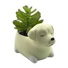 Huapin-060 Cuteforyou Cute Animal Shaped Cartoon Home Decoration Succulent Vase Flower