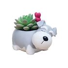 Huapin-062 Cuteforyou Cute Schnauzer Dog Shaped Cartoon Home Decoration Succulent Vase