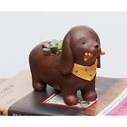 Huapin054 Cute Animal Shaped Cartoon 6916691003401