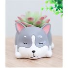 Huapin058 Cute Animal Shaped Cartoon 6915757757043