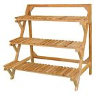 Jw0276m Id Plant 55574 39 . Stand Teak