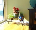 Intex Shelf Stand Flower Pots Plant Container Black Metal Decor Gift Show Shower Water 0747726273157