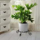 Jrolkxjwhk Amagabeli Inch Metal Potted Plant Stand Rustproof Iron Art