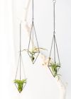 K58980 Opportunity Best Deal Garden Hanging Air Plant Holder 5903819958980