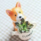 L-180-1 Youfui Corgi Dog Flowerpot Plant Resin Cactus Bonsai 0652026135930