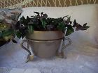 20-italy Metalic Plant Varigated Grey Pot Ivy Deroma Green Purple Stand