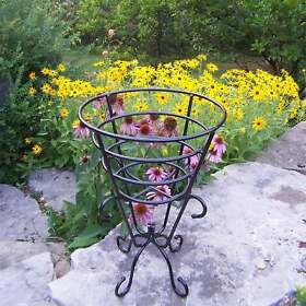 Oakland Living Corporation Entwined Cup Black Steel Plant