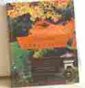 780679 Oriental Gardening American Garden Guide Book Knopf Publishing 1994 Many Subject 758617