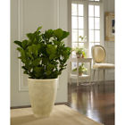 P-ventn Polivaz Venetian Planter Large 858941002351