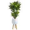 P1417 Nearly Natural Corn Stalk Dracaena Artificial Plant In 192897267496