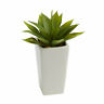 P1637 Nearly Natural Inch Mini Agave Succulent In White 192897258630