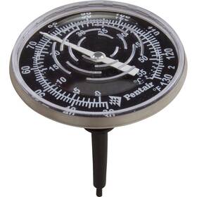 Pentair B0002rg212 In-line Nylon Wall Thermometer 30-130 F 1/2 Inch Mpt