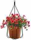 Ph101bk Plastec Adjustable Plant Hanger 726783224456