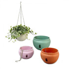 Phr1008re Mr Garden Hanging Planter 635983297903