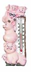 7771 Pigs Thermometer Prices