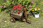 Pl51304 Pier Surplus Rustic Wood Whiskey Barrel Planter On 819372022653