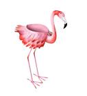 Pl6866 Wind Weather Colorful Handcrafted Metal Flamingo Garden Planter