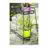 Plant-stand-81477 Indoor Plant Stand Tiered Black Outdoor Multiple Plants Garden Office Shelves 744022481477