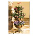 Plant Tier Flower Flowers Stand Herbs Patio 3 Porch Planter Indoor Garden