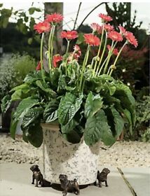 Pf0064us Potty Feet Pug Figures Planter Riser Handmade Yard Art Ornaments 3pcs