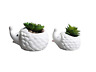 Qfy-191 Cuteforyou Pcs Set Cute Animal Hedgehog Shaped Ceramic 689718277548