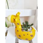 Qfy00202 Cute Home Kitchen Features 6914545890115