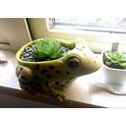 Qfy01604 6 Inch Cute Animal 6918842360135