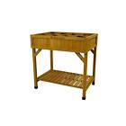 Rhp6002nefs Raised Flower Herb Veg.cedar