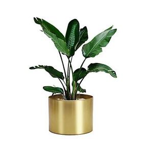 Rising Star Golden Metal Plant Pot Indoor 8inch X 6inch Flower Nursery