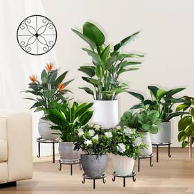 Saint Kang 639394642437 7 Pack Metal Plant Stand For Outdoor Indoor Plants Anti-rust Iron