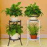 Sdh9231457 In Metal Shelves Tier Flower Rack Pot Holder Plant Display