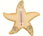 Se2170411 Songbird Essentials Starfish Window