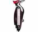 Se2170706 Songbird Essentials Woodpecker Wood Thermometer