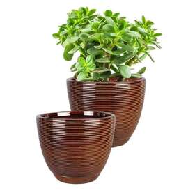 Southern Patio 684143030867 Caylin Planter 2-pack - 8 Inch Diameter Java 2