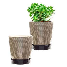 Southern Patio 684143089520 Alice Ceramic Indoor Pot Planter 2-pack - 8 Inch Light Brown Diam