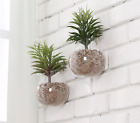 Tb-deco0663clr Mygift Wall Mounted Plant