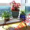 Tb-hom0238blk Mygift 3 Black Metal Plant Stand Arched Design For Flower Pots Shelf Unit W Railing