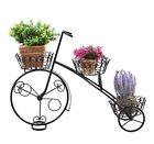 Tb-hom1001blk Mygift French Parisian Tricycle Design Flower Holder