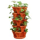 Tc5-2 Yp Supplier Llc 5 729440926984