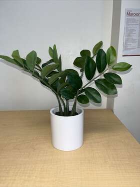 Threshold 191908748313 Indoor Decorative Plant